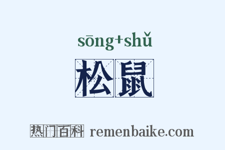 松鼠是什么意思的图片